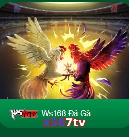 x567tv